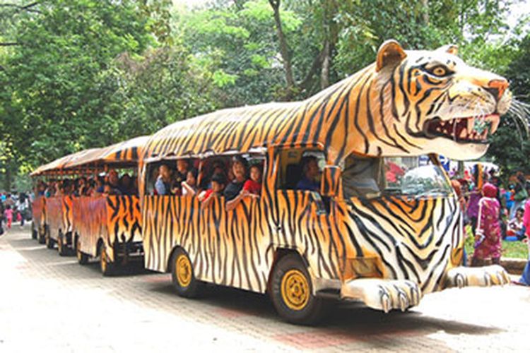Wahana Kereta Keliling di Kebun Binatang, Ragunan, Jakarta Selatan