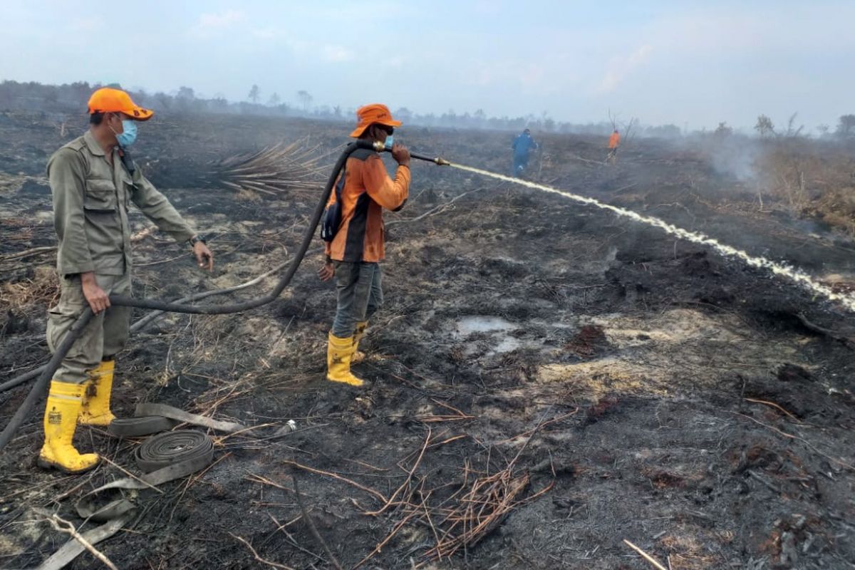 Kebakaran hutan dan lahan (karhutla) di Kelurahan Bangsal Aceh, Kecamatan Sungai Sembilan, Kota Dumai, Riau, Senin (18/2/2019).