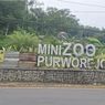 Modus Mega Korupsi Mini Zoo Purworejo, Uang Rp 6,5 Miliar Raib dari Proyek Rp 9,69 Miliar