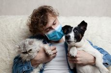 Tak Hanya Jadi Teman, Anjing juga Bisa Bantu Mengurangi Rasa Sakit