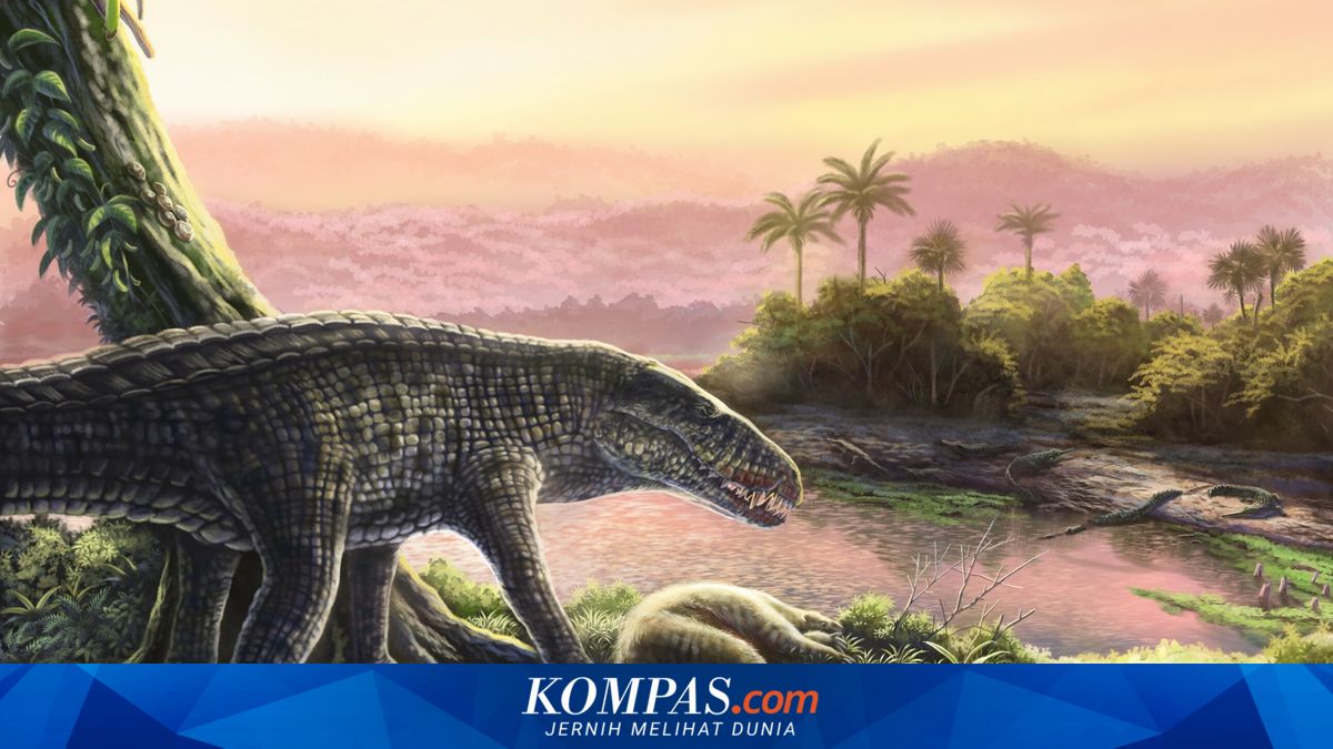 Fosil Karnivora Mirip Buaya di Karibia: Menguak Jejak Terakhir Sebecid