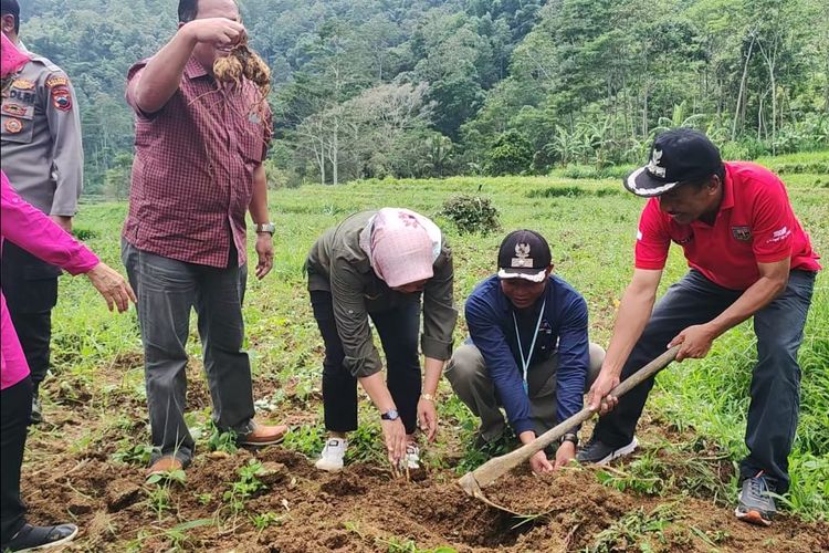 Festival Panen Telo Mangul Sepakung diadakan untuk mengenalkan ketela khas tersebut