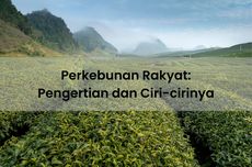 Perkebunan Rakyat: Pengertian dan Ciri-cirinya