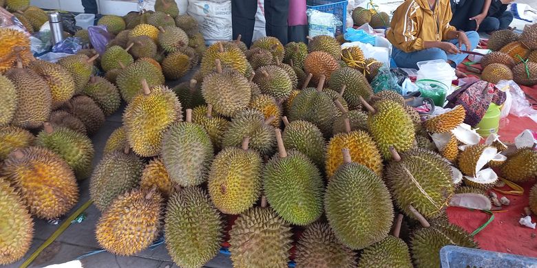 Hasil durian saat penen raya di Kecamatan Kaligesing Kabupaten Purworejo. Durian melimpah dan dijual hingga keluar kota 