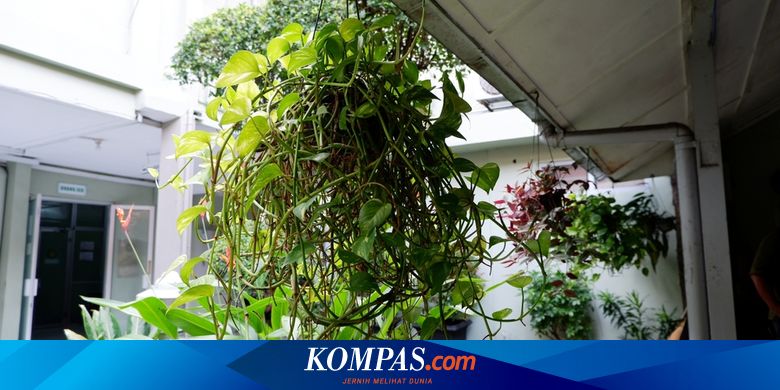 Manfaat Menerapkan Sikap Persatuan dan Kesatuan di Rumah