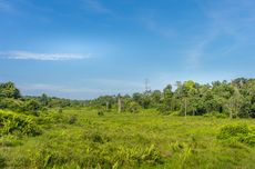 Rela Izin Kerja demi Coba E-Voting, Begini Suasana Pilwu Digital Indramayu