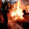50 Hektar Hutan dan Lahan di Rokan Hulu Riau Terbakar, Petugas Kesulitan Padamkan Api