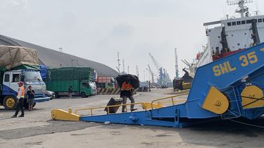 Terjebak di Kapal dan Bayaran yang Tak Kunjung Datang, Perjuangan Taufik Jadi Porter di Tanjung Perak