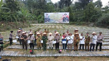 Polda Lampung Dorong Budidaya Bawang Putih, Tanggamus Sudah Panen 3 Ton