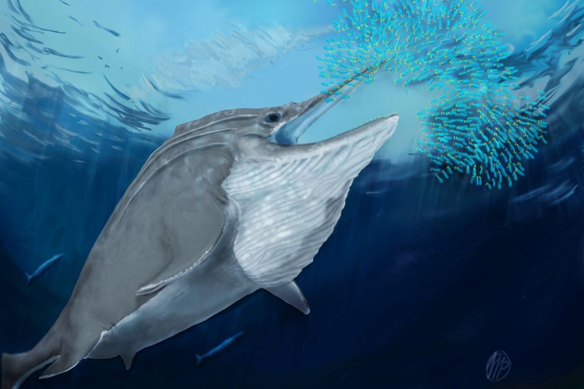 Ilustrasi reptil laut raksasa, ichthyosaurus. Fosil reptil laut raksasa yang ditemukan di Pegunungan Alpen, Swiss, untuk pertama kalinya dideskripsikan ilmuwan.
