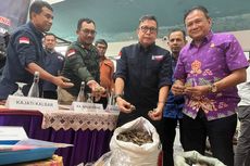 2 Anggota Sindikat Perdagangan 337 Kilogram Sisik Trenggiling di Melawi Ditangkap