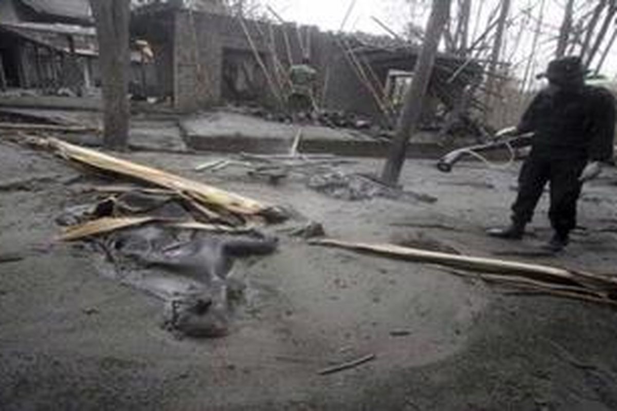An Indonesian police spray anti-bacterial agent to a dead cow killed in an eruption of Mount Merapi in Cangkringan, Indonesia, Thursday, Nov. 18, 2010.