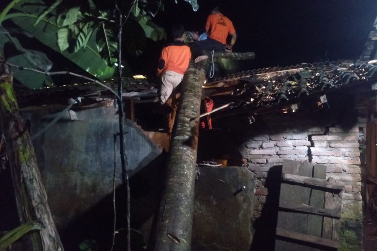 Rumah yang rusak tertimpa pohon 