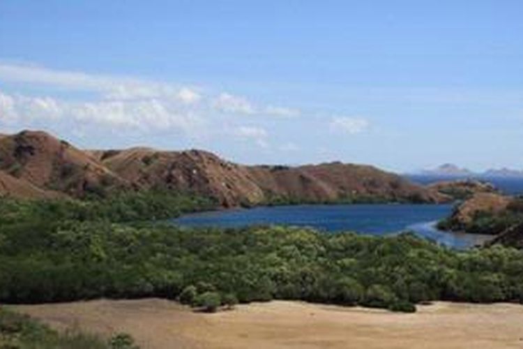 Kawasan Taman Nasional Komodo dilihat dari bukit di Pulau Rinca, Manggarai Barat, Nusa Tenggara Timur. 