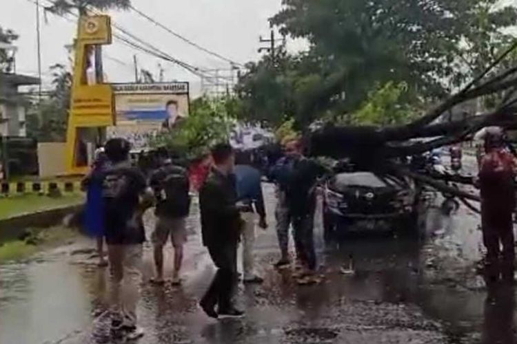 Satu unit kendaraan roda empat yang tertimpa pohon di bilangan Jalan Perintis Kemerdekaan, Kota Makassar, Sulsel, Senin (15/1/2024).