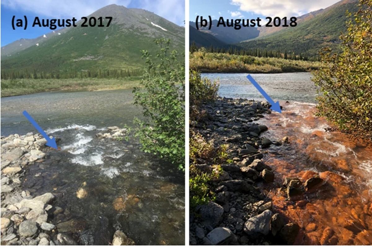 Foto perbedaan kondisi Sungai Akillik di Alaska antara 2017 dan 2018 yang diteliti dalam studi berjudul Metal mobilization from thawing permafrost to aquatic ecosystems is driving rusting of Arctic streams terbit pada 20 Mei 2024.