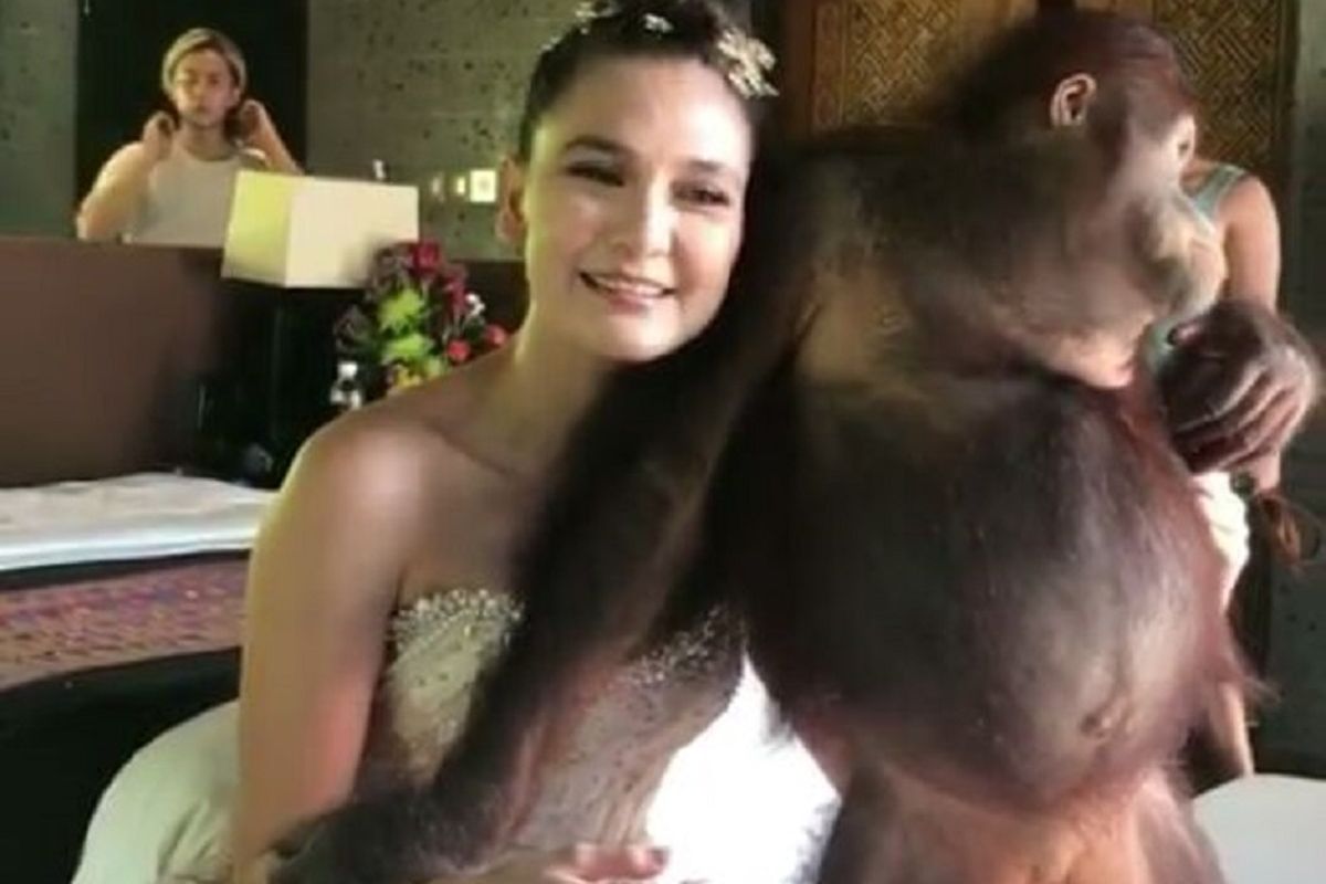 Luna Maya berfoto dengan orangutan