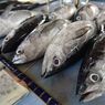 KKP Optimistis Target Produksi Perikanan Tangkap Melebihi 8 Juta Ton Tahun Ini