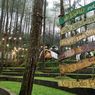 Camping di Bukit Ngisis Yogyakarta, Bisa Sekalian Mampir ke 5 Wisata Ini