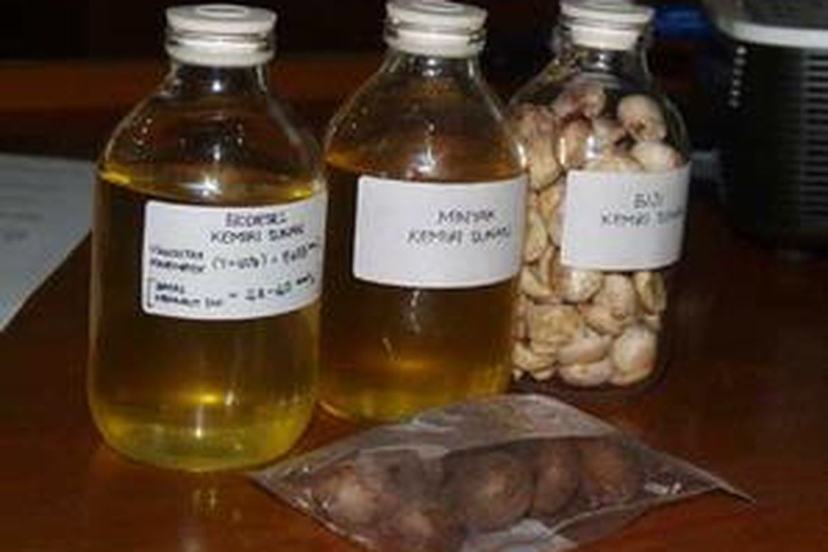 Contoh bahan bakar biodiesel dari kemiri dan biji karet yang telah dikembangkan oleh ITB.