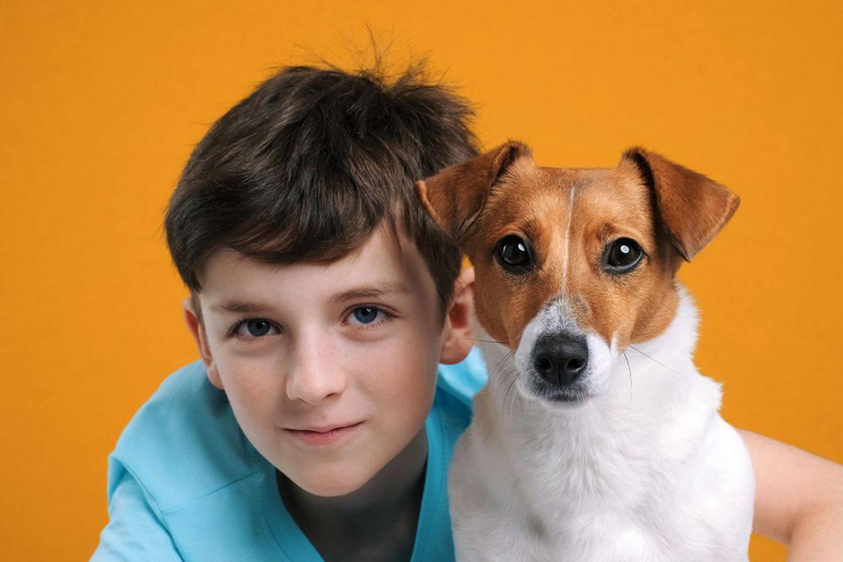 Ilustrasi anjing Jack Russell Terrier. Salah satu jenis anjing yang bisa hidup lama, dengan harapan hidup tertinggi. Anjing ini bisa hidup hingga usia 12,5 tahun.