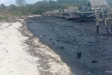 Limbah Minyak Hitam Kembali Cemari Pesisir Pantai Bintan