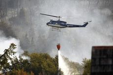 Terungkap Penyebab Kebakaran 600 Ha Hutan Taman Nasional Los Alerces Argentina
