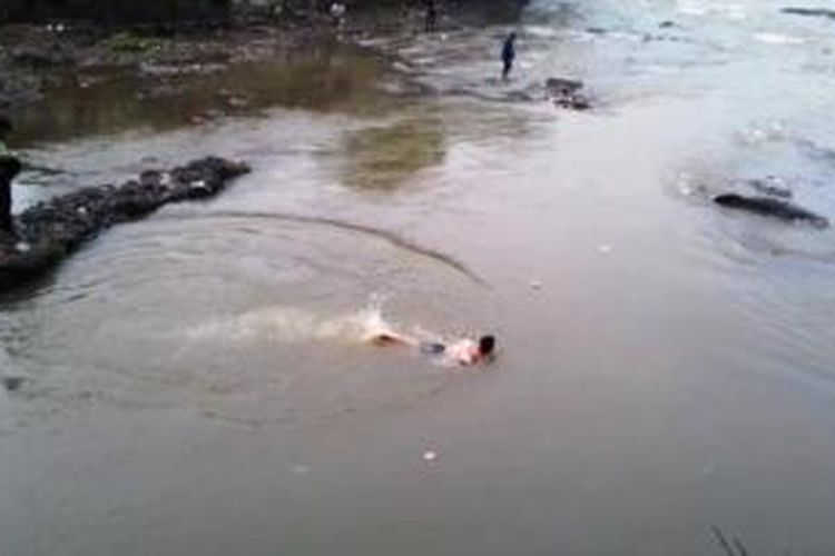 Seorang warga berenang mendekati bangkai ikan raksasa yang terdampar di Sungai Ciliwung, Kota Bogor, Minggu (29/1/2015).