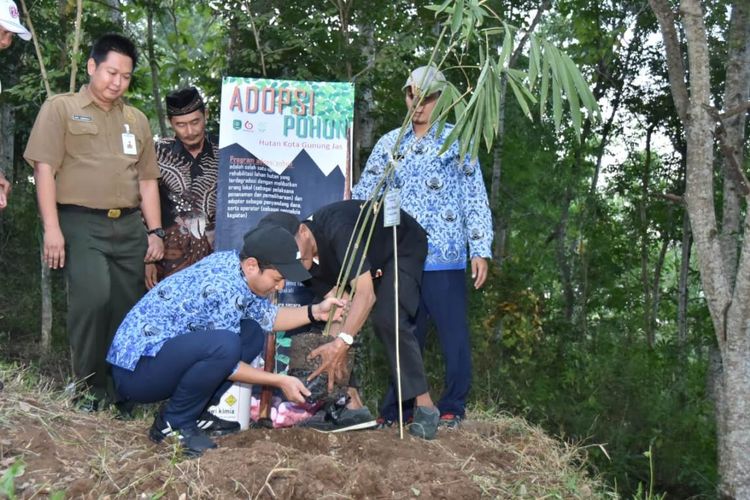 Bupati Trenggalek Mochammad Nur Arifin melakukan penanaman pohon bambu di kawasan Hutan Kota, sekaligus memperingati Hari Lingkungan Hidup Sedunia (17/06/2019)