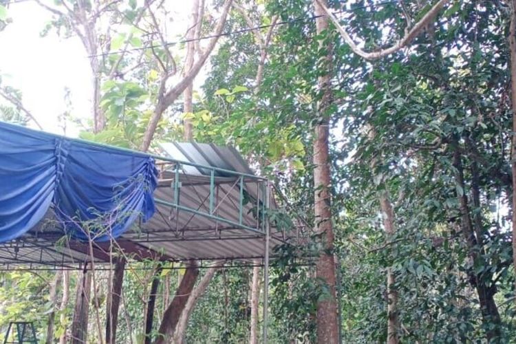 Tenda hajatan belum selesai di Pedukuhan Donomerto, Kalurahan Donomulyo, Kapanewon Nanggulan, Kabupaten Kulon Progo, Daerah Istimewa Yogyakarta. Pekerjaan mendirikan tenda ini tertunda karena seorang pekerja tenda kesetrum listrik antar rumah, jatuh dari atas, dan tewas tidak lama kemudian.