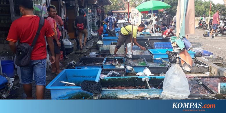 Omzet Penjual Ikan Hias Jatinegara Turun Drastis Selama Kemarau - KOMPAS.com