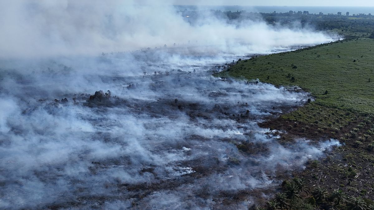 BNPB: Karhutla hingga Banjir Landa Sejumlah Wilayah Indonesia