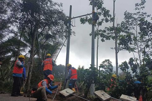 Petani Bingung Didenda Rp 9 Juta karena Tebang Pohon dan Timpa Kabel PLN
