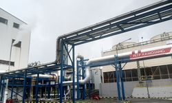 Potensi Panas Bumi RI Capai 2.160 GW, Infrastruktur PLTU Dapat Dialihfungsikan untuk PLTP