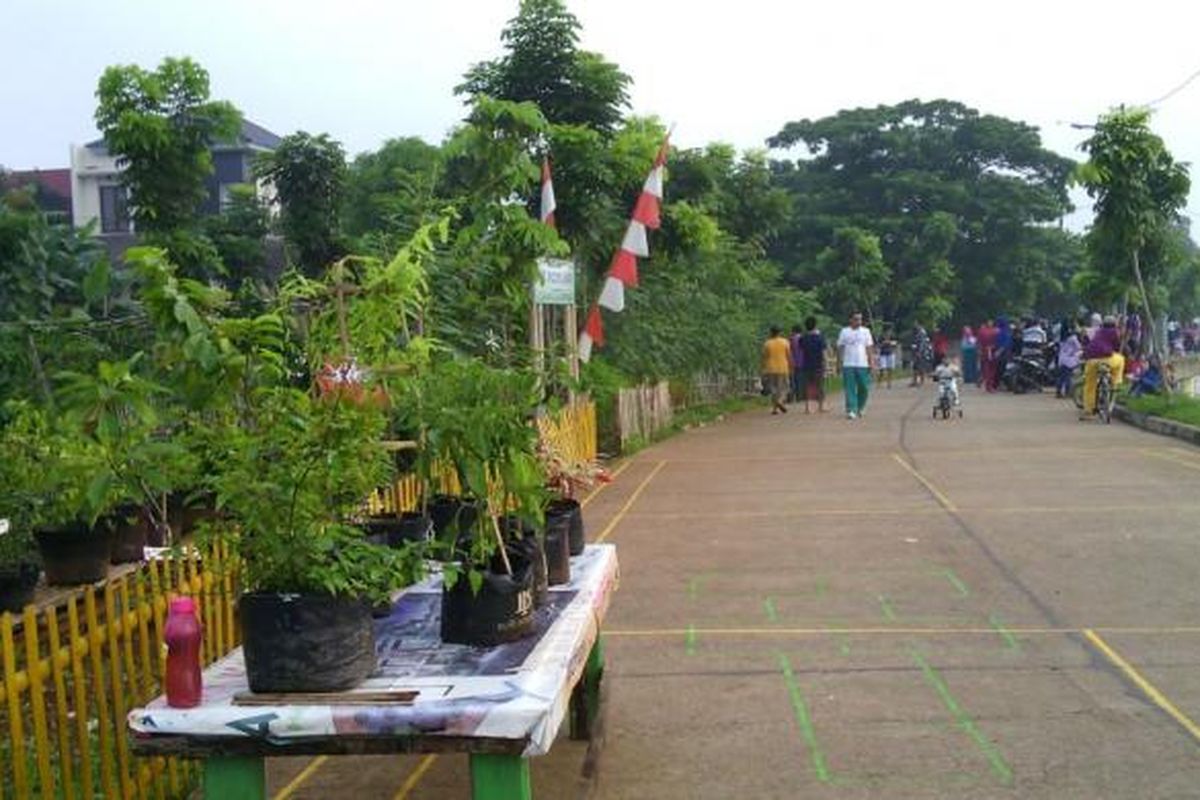 Urban Farming di bantaran Kali Pesanggrahan di Kelurahan Ulujami.