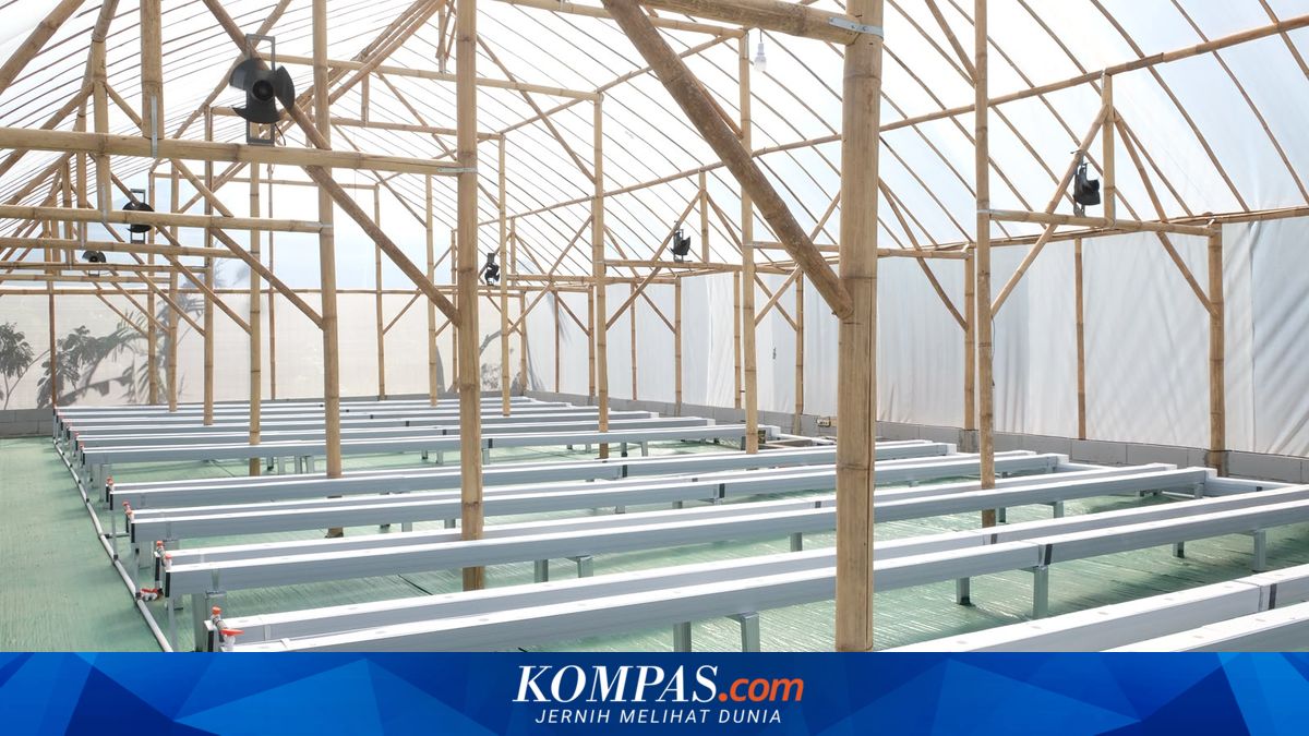 Tinggalkan Cara Konvensional, Petani Melon di Indramayu Ini Manfaatkan IoT untuk Budidaya