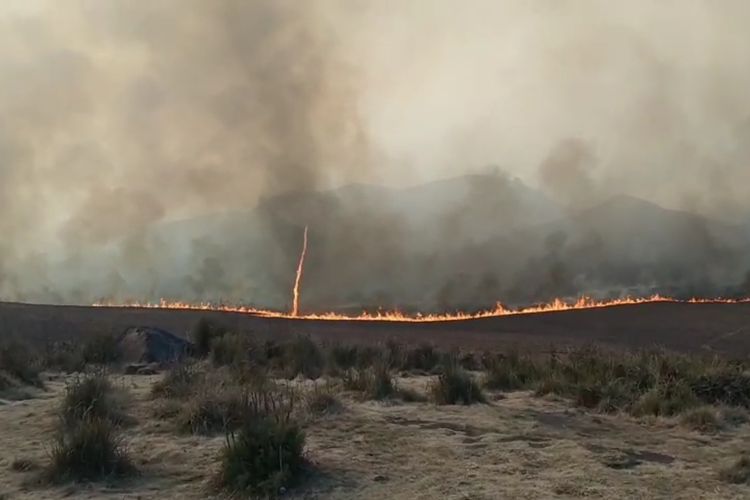 일요일(2023년 10월 9일) TNBTS에서 미친 산불과 육지 화재(karhutla) 한가운데 화재 토네이도가 나타났습니다.