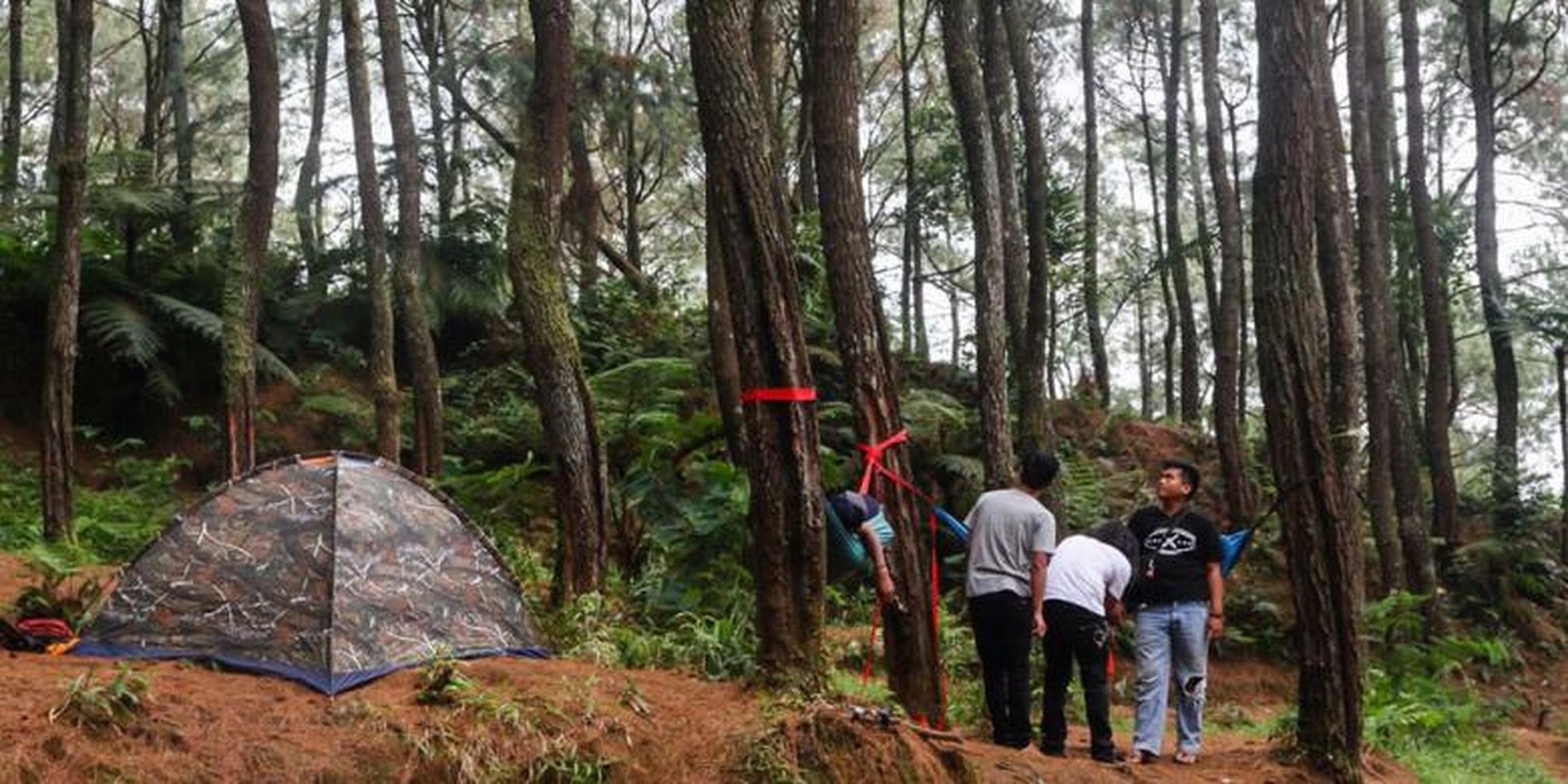 Pasir Langlang terletak di Desa Pusaka Mulya, Kecamatan Kiarapedes, Kabupaten Purwakarta. 