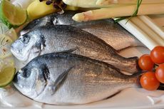 Cara Memilih Ikan yang Segar dan Menyimpannya di Kulkas