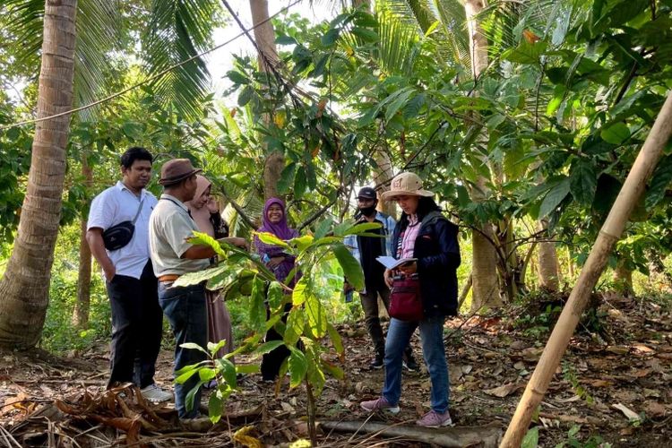 Suasana saat petani dan penyuluh berdiskusi di sebuah lahan hutan rakyat campuran yang terdapat di Kabupaten Bulukamba.