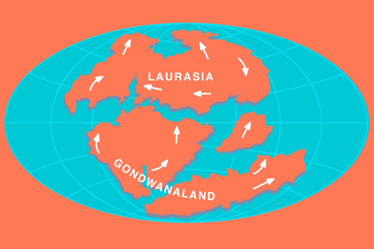 Proses pecahnya Pangaea menjadi Laurasia dan Gondwana.