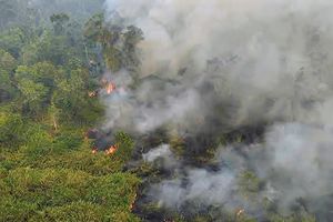 7.000 Hektare TN Way Kambas Terbakar Sepanjang 2026, Tercatat 21 Kejadian