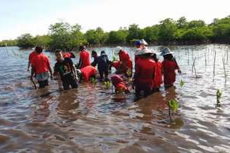 Sejumlah nelayan dan penggiat lingkungan melakukan penanaman mangrove di Popayato Kabupaten Pohuwato