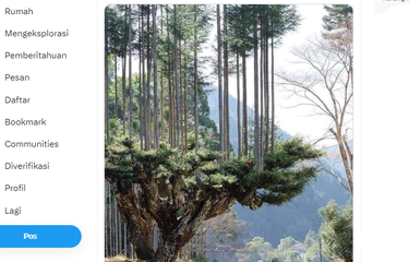 Tangkapan layar unggahan X soal teknik daisugi yang memungkinkan Jepang memproduksi kayu tanpa menebang pohon.