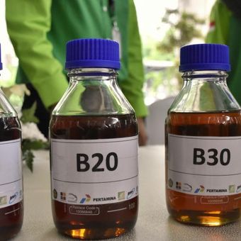Ilustrasi biodiesel. Biodiesel B50 siap menjadi bagian dari transisi energi hijau Indonesia sambil menyeimbangkan kebutuhan domestik dan ekspor.
