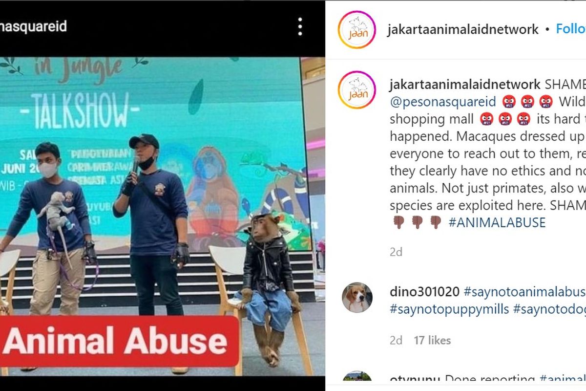 primata berkostum dan mengenakan rantai di Pesona Square, Depok. 