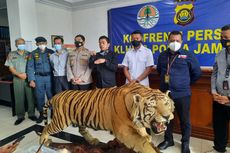 Kulit Harimau dan Gading Gajah Ilegal Dijual Ratusan Juta, Padahal Kerugian Ekologisnya Rp 4,7 M