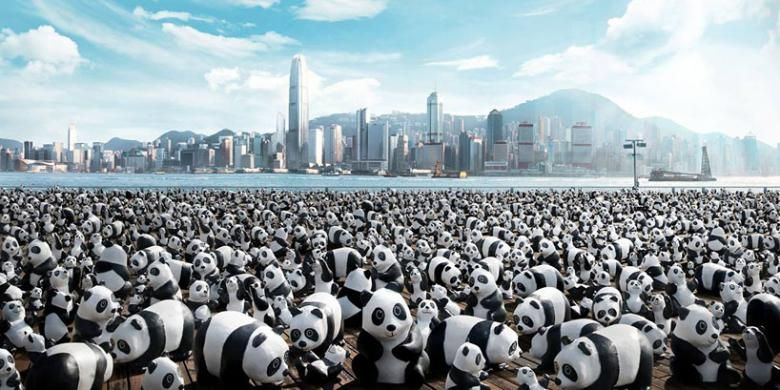 Sebanyak 1.600 replika panda akan memenuhi Hongkong, mulai Bandara Internasional Hongkong hingga ke patung raksasa Tian Tan Buddha. 