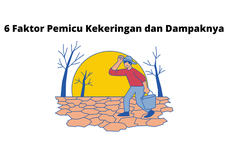 6 Faktor Pemicu Kekeringan dan Dampaknya