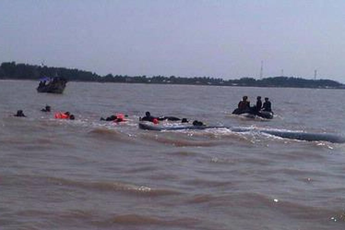 Sejumlah relawan tengah berusaha mengikat paus yang terdampar di perairan Karawang, Jawa Barat, Sabtu (28/7/2012). Siang ini, posisi paus sudah bisa bergeser 500 meter ke arah laut dari tempat terdamparnya sejak Rabu lalu. 